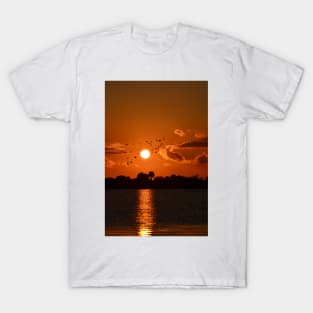 Sunset in Florida T-Shirt